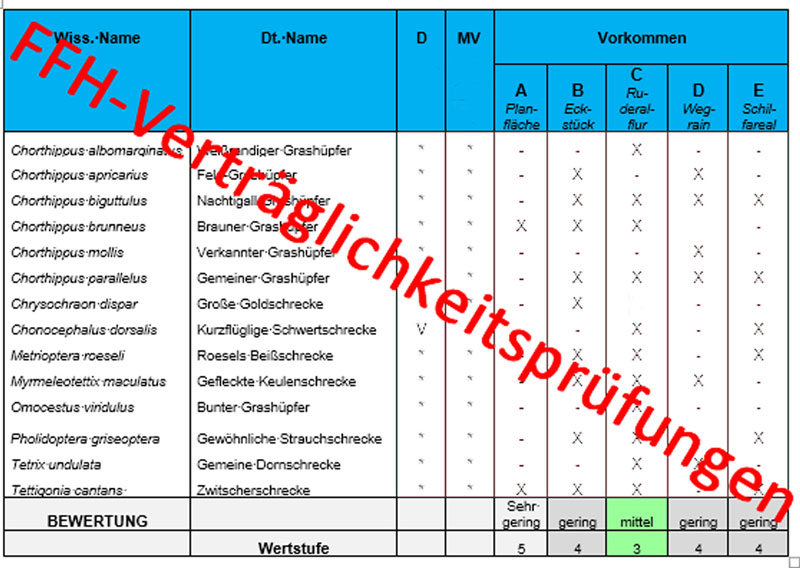 FFH-Verträglichkeitsprüfungen, Schutz-, Pflege- und Entwicklungspläne