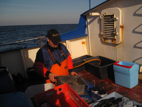 See Offshore
